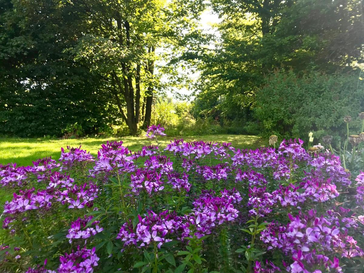 "Un Matin Au Jardin" Bed & Breakfast Francorchamps Eksteriør bilde